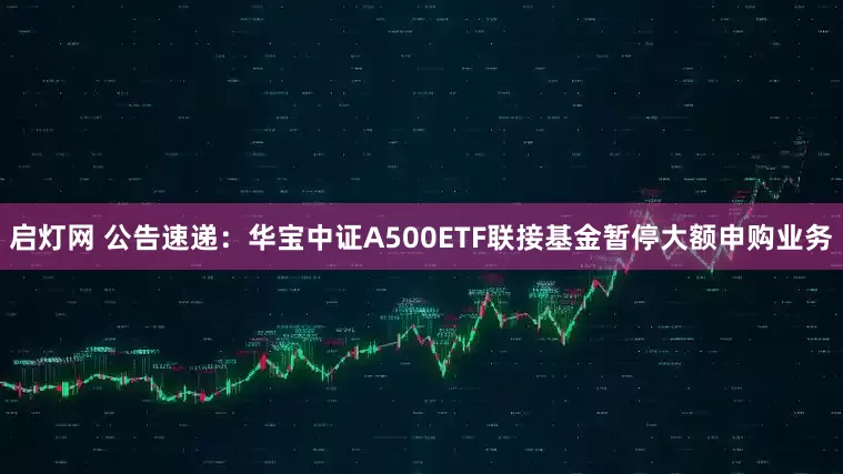 启灯网 公告速递：华宝中证A500ETF联接基金暂停大额申购业务